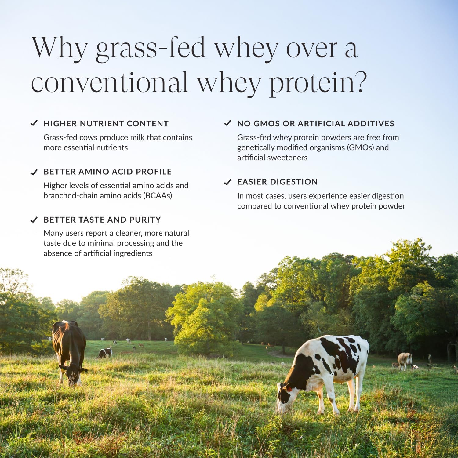 Beam Grass Fed Whey Protein Powder – Chocolate Peanut Butter, 12 Servings, 22g Protein Per Serving, Clean Whey Isolate & Concentrate, Low Carb, Paleo Friendly, GMO Free, Gluten Free, 3rd Party Tested